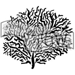 Szablon Mini Koral 15,2 cm